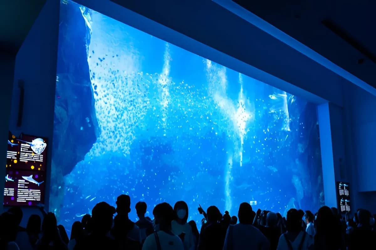SEA LIFE Melbourne Aquarium