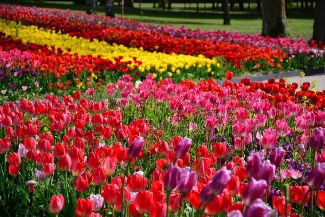 Lady Hydari Park