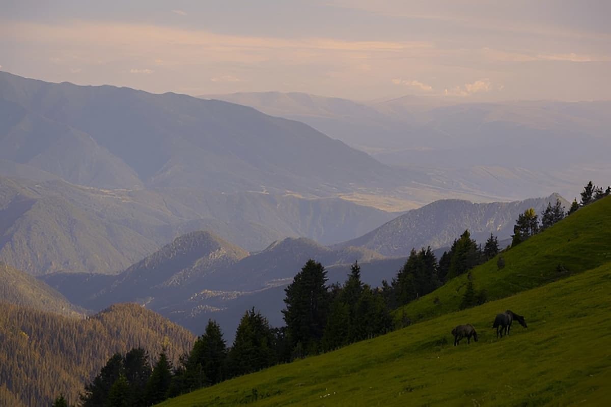 Borjomi & Kharagauli National Park