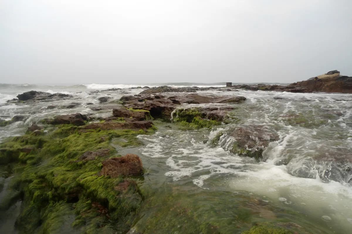 Bheemunipatnam Beach