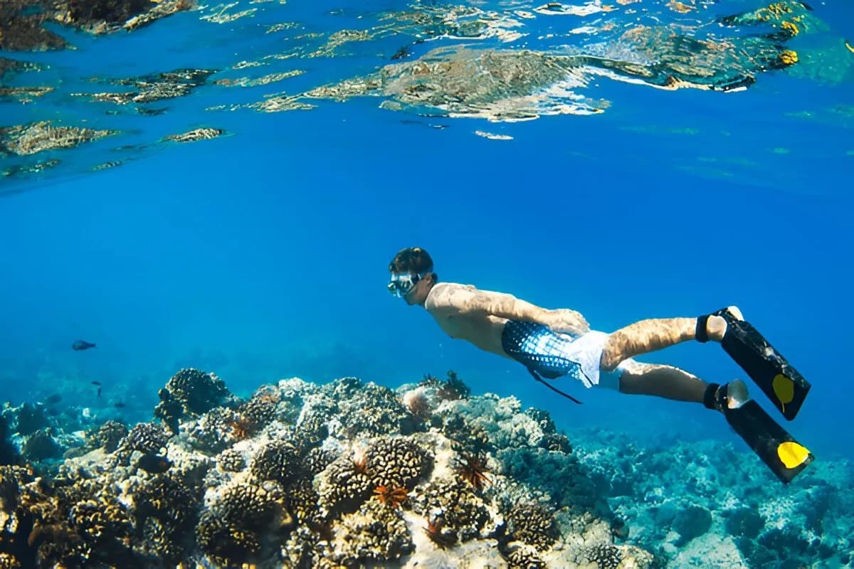 Snorkeling in Sri Lanka