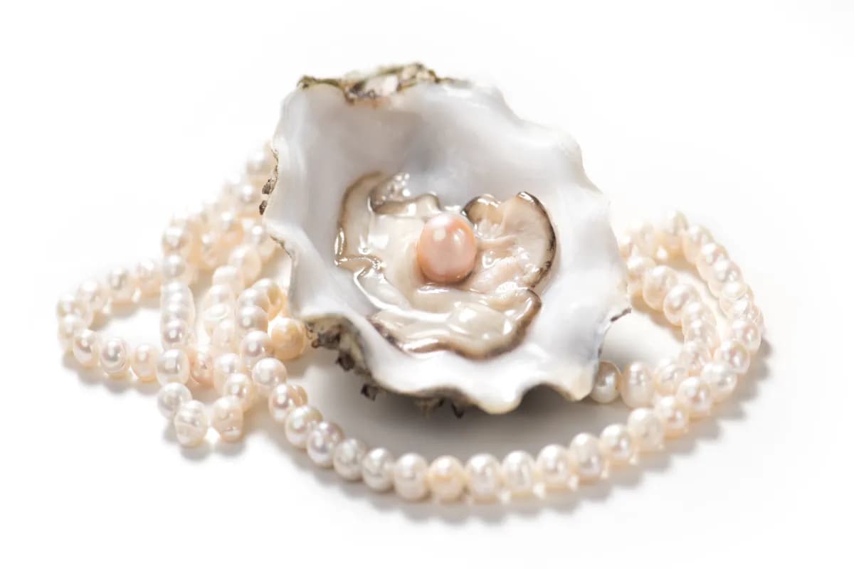Pearl Jewellery