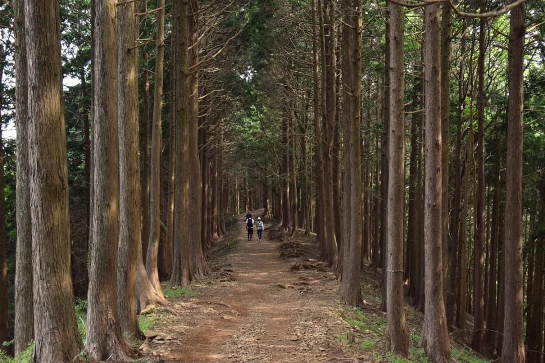 Village Walking Trails