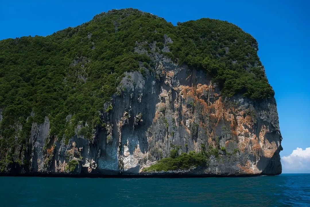 Vertical Cliff-Side Viewpoints