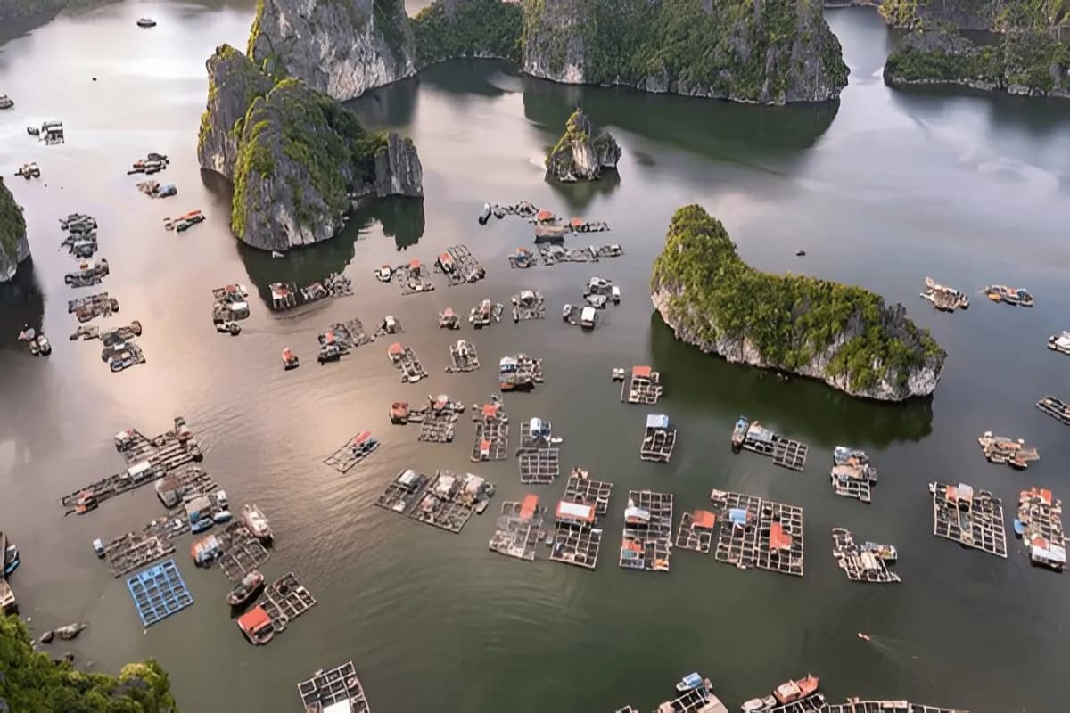 Cat Ba Island