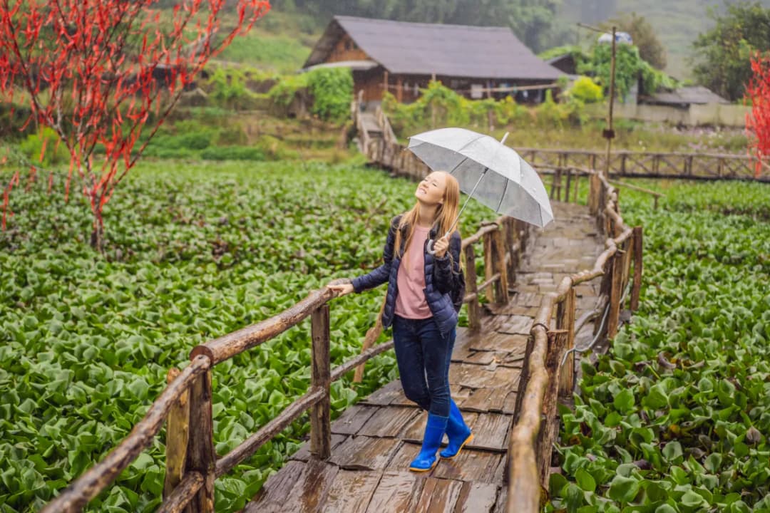 Local Bamboo Bridges