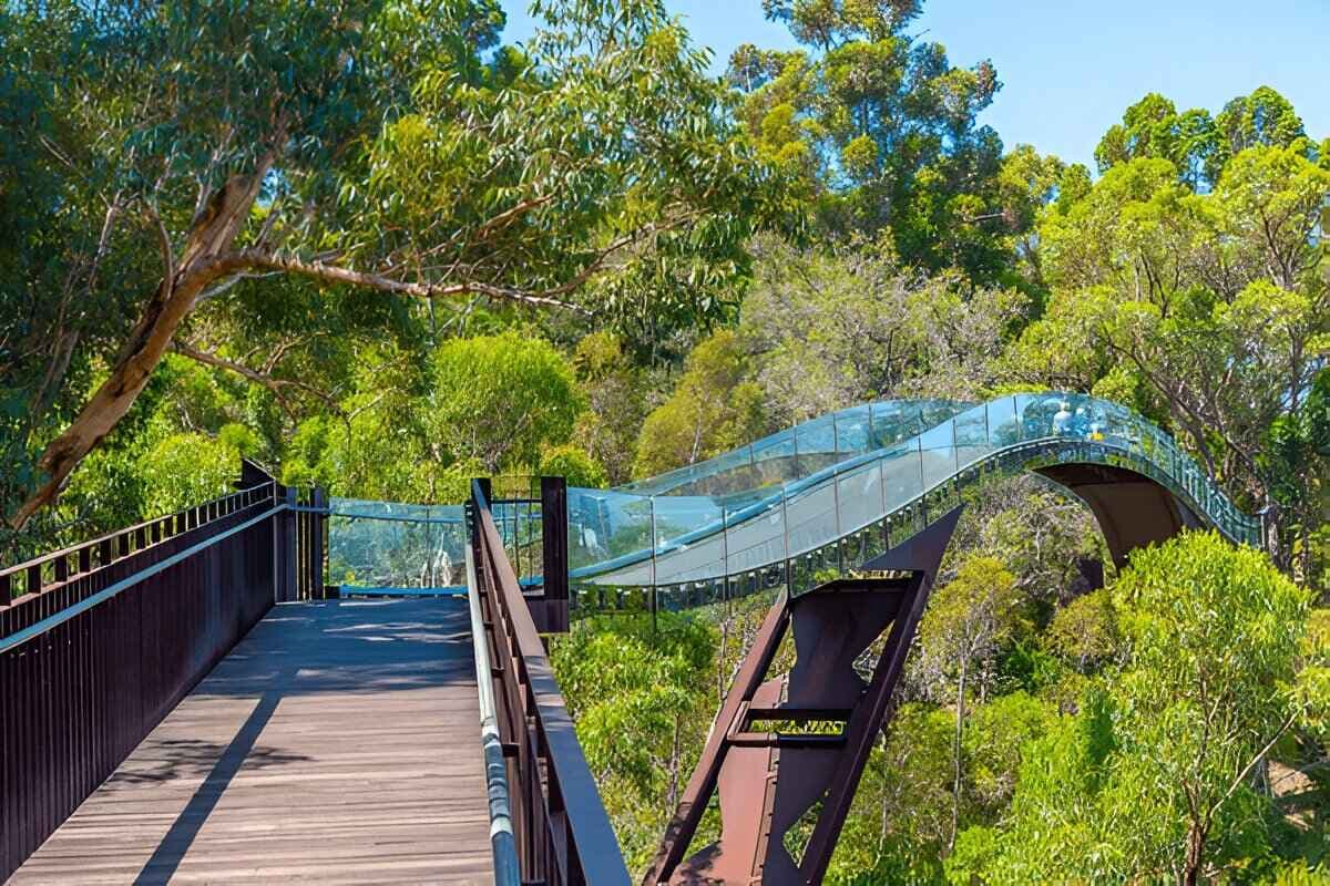 Kings Park and Botanic Garden