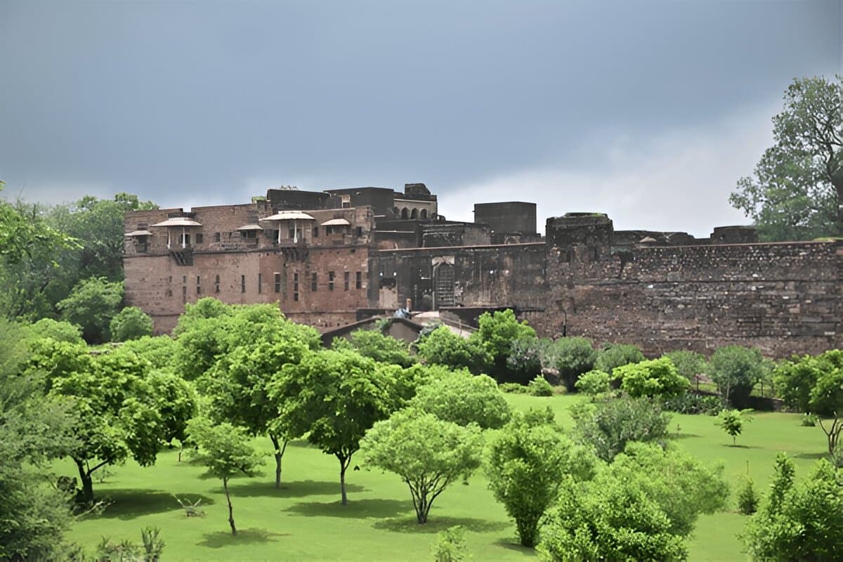 Adventurous Ranthambore and Bharatpur