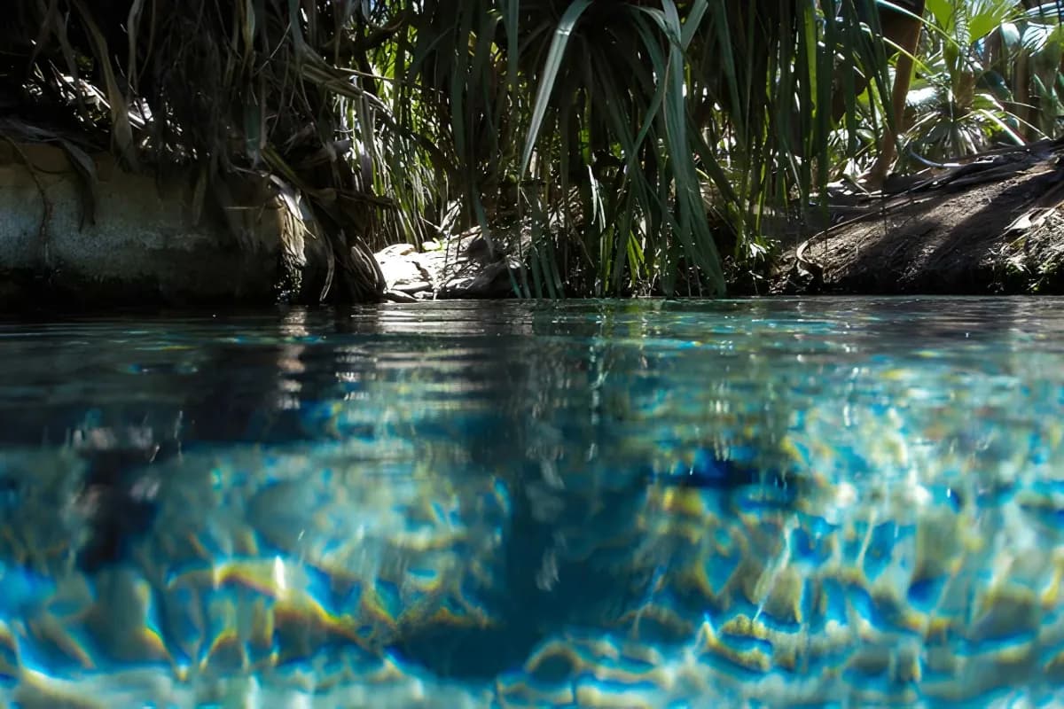 Mataranka Hot Springs