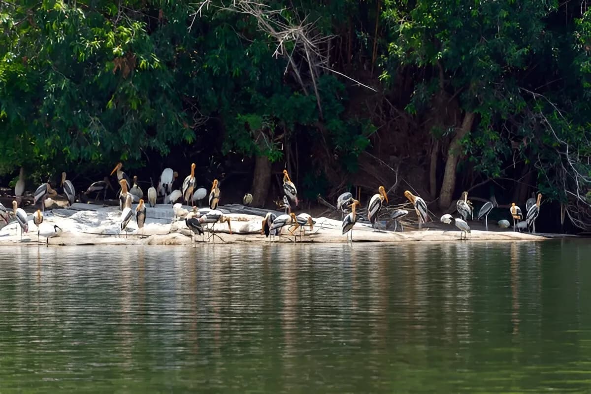 Pitti Bird Sanctuary