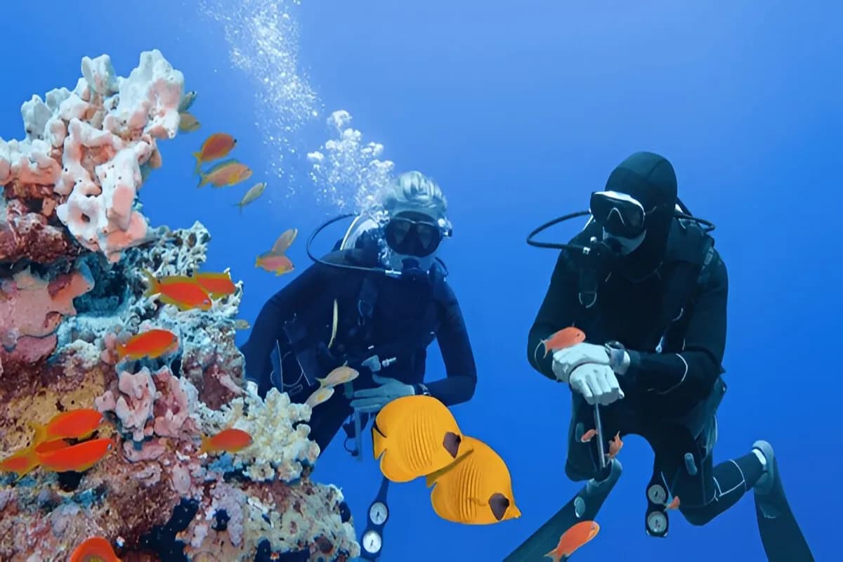 Scuba Diving in Sri Lanka