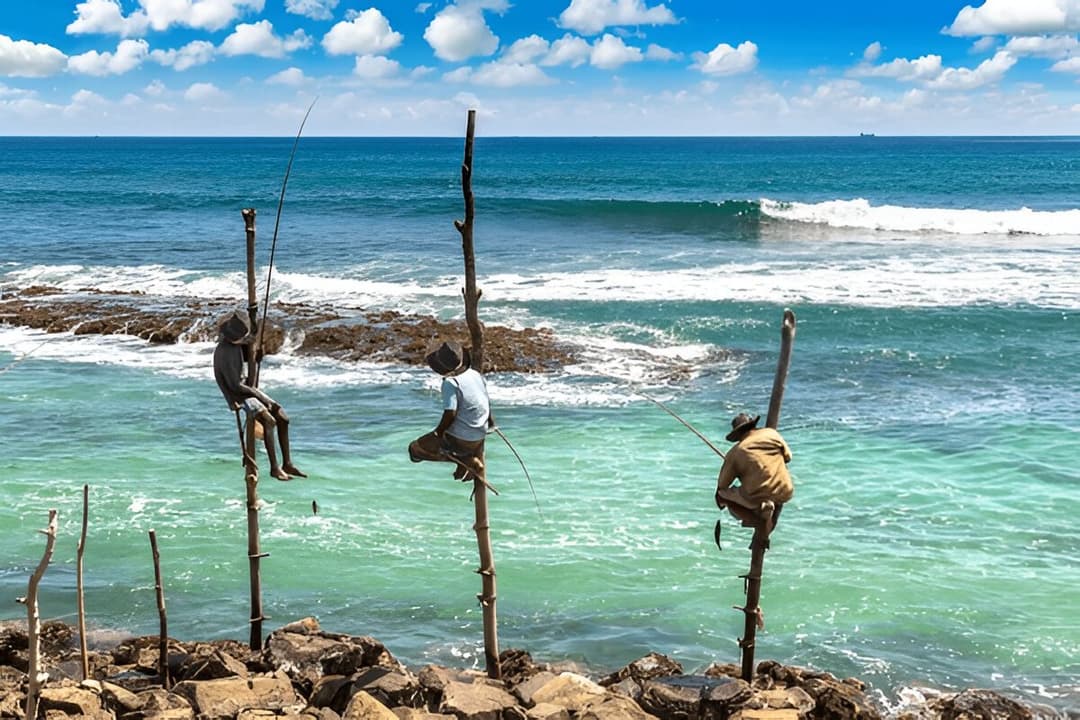 Stilt Fishermen