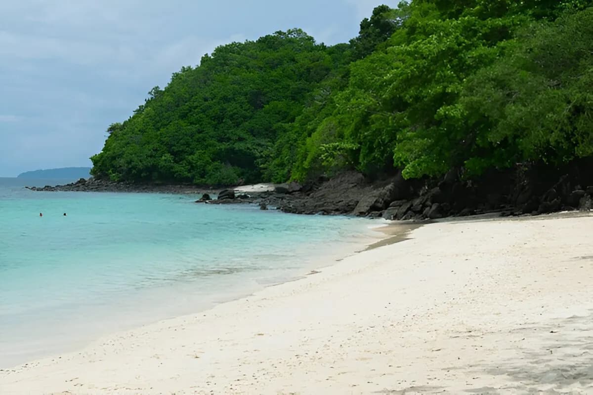 Banana Reef