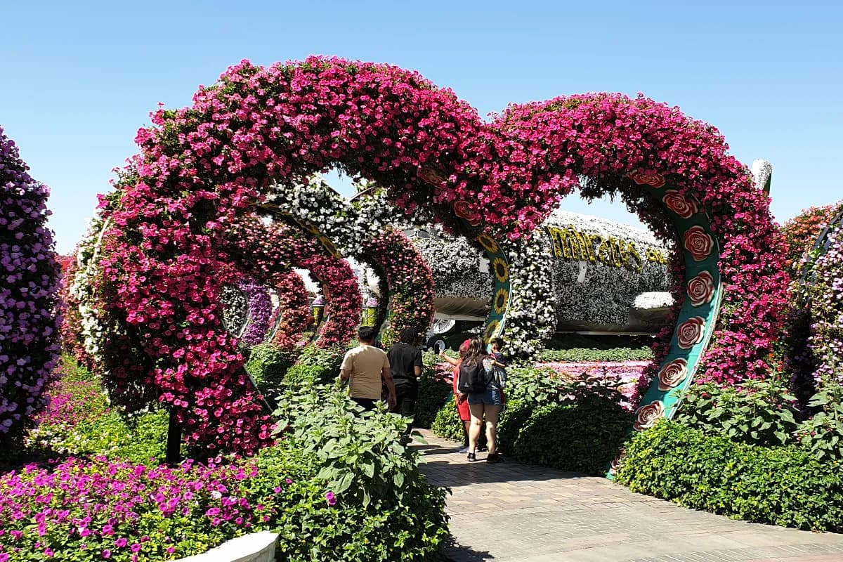 Miracle Garden