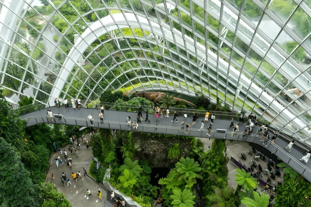 Cloud Forest Experience