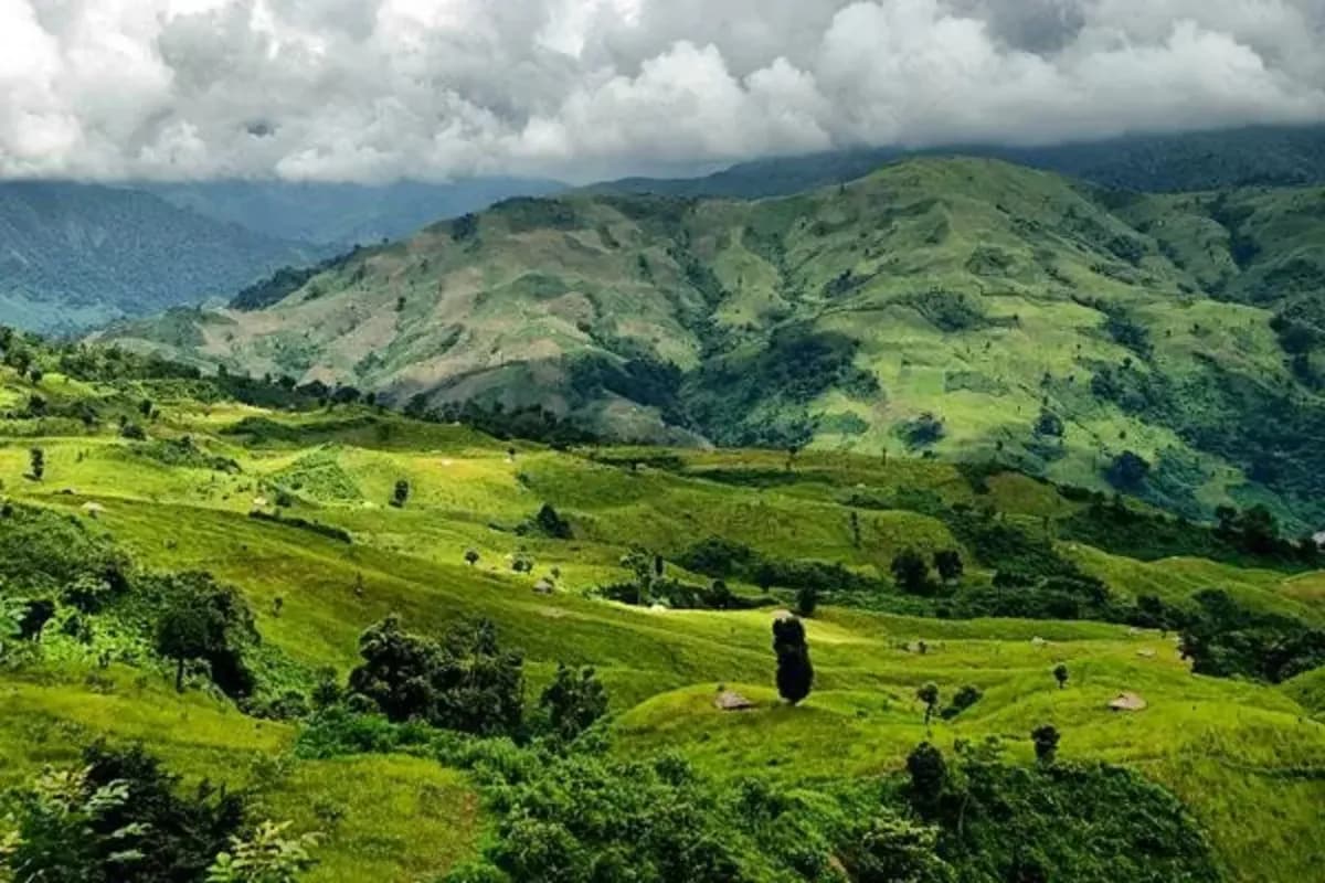 Ziro Valley