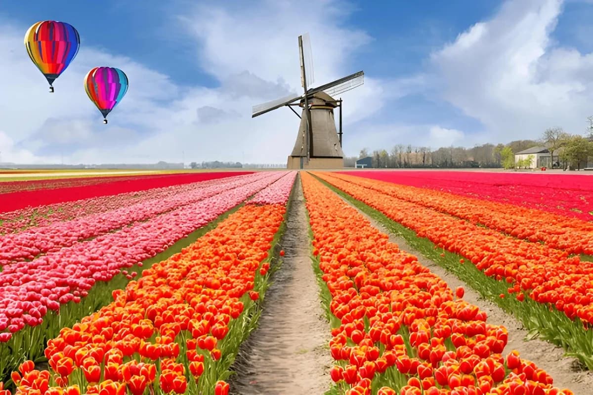Keukenhof Garden