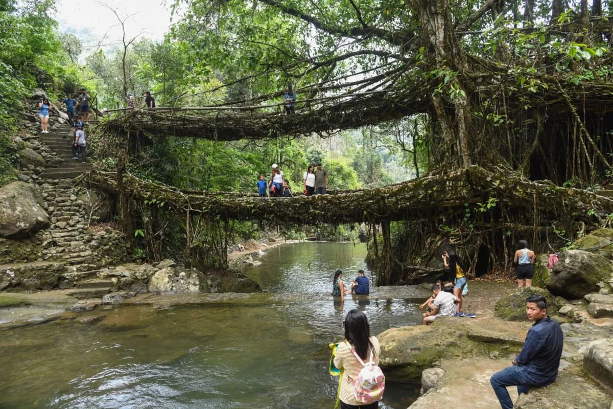 People Enjoying Double Decker Living Root Bridge View