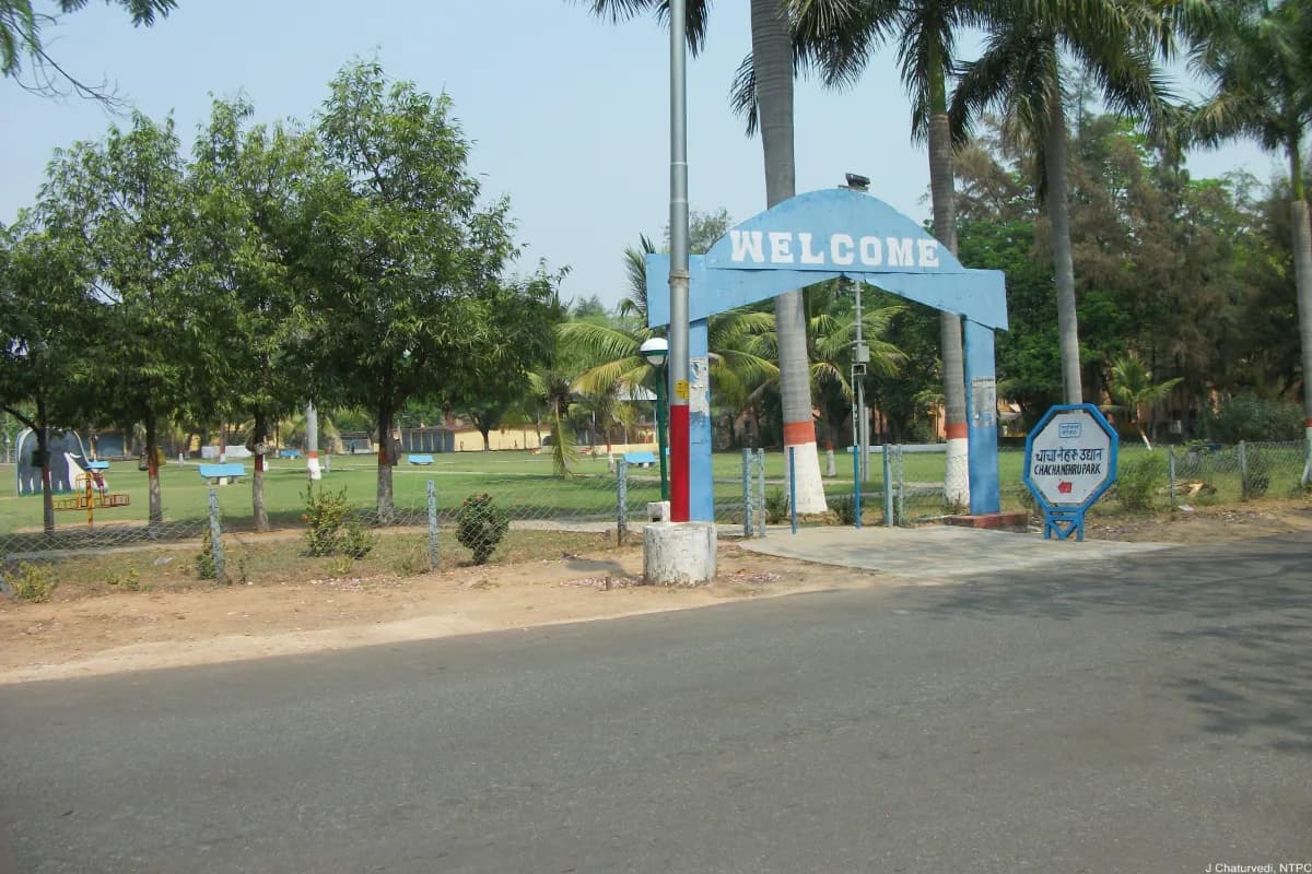Scenic view of Lum Nehru Park surrounded by Trees