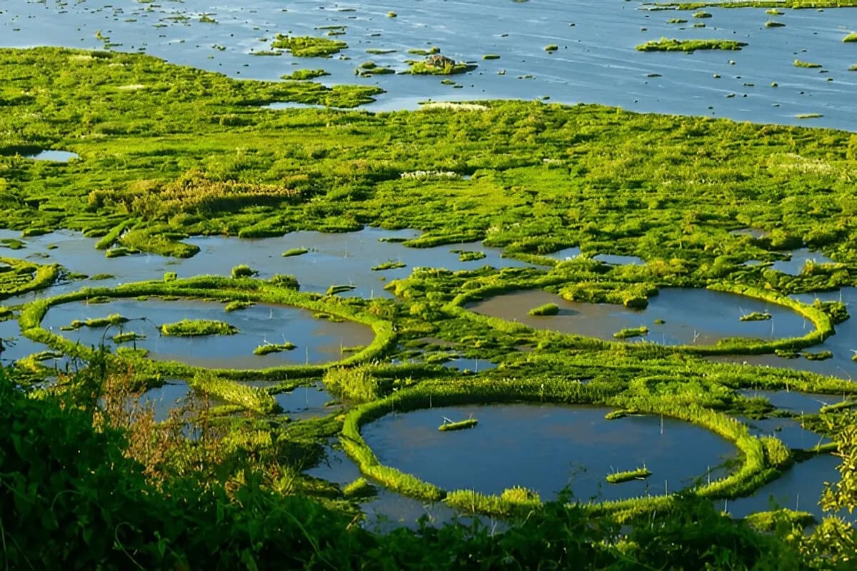 Loktak Lake