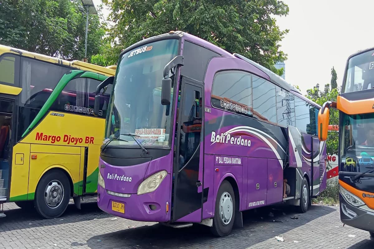 Public Transport Buses in Bali