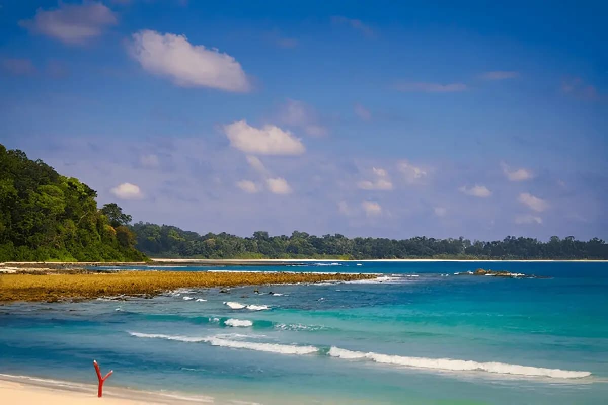 Rose Island