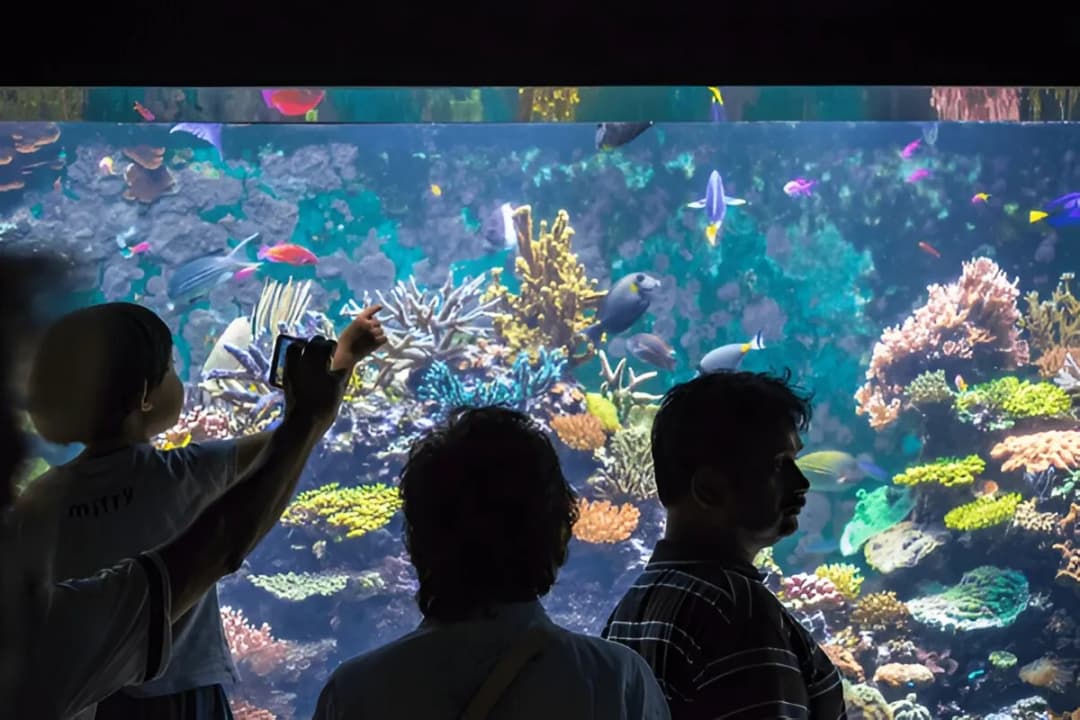 Ocean Journey Gallery