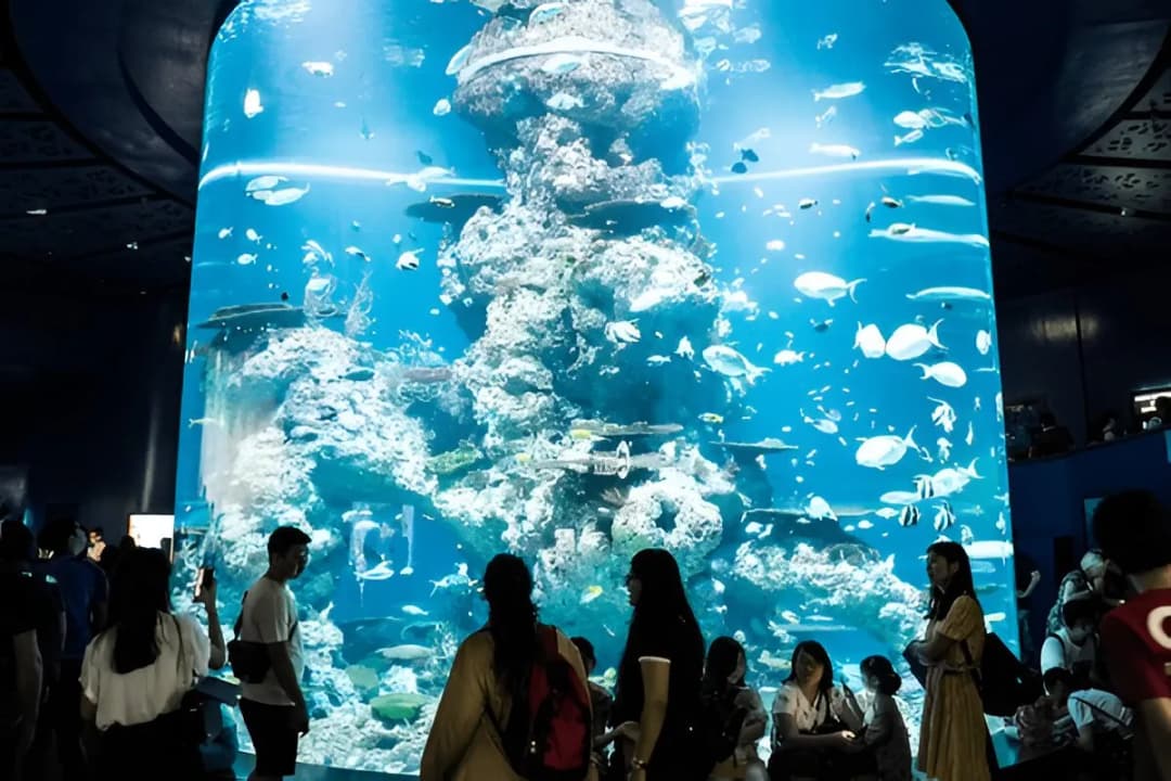 Discovery Touch Pool