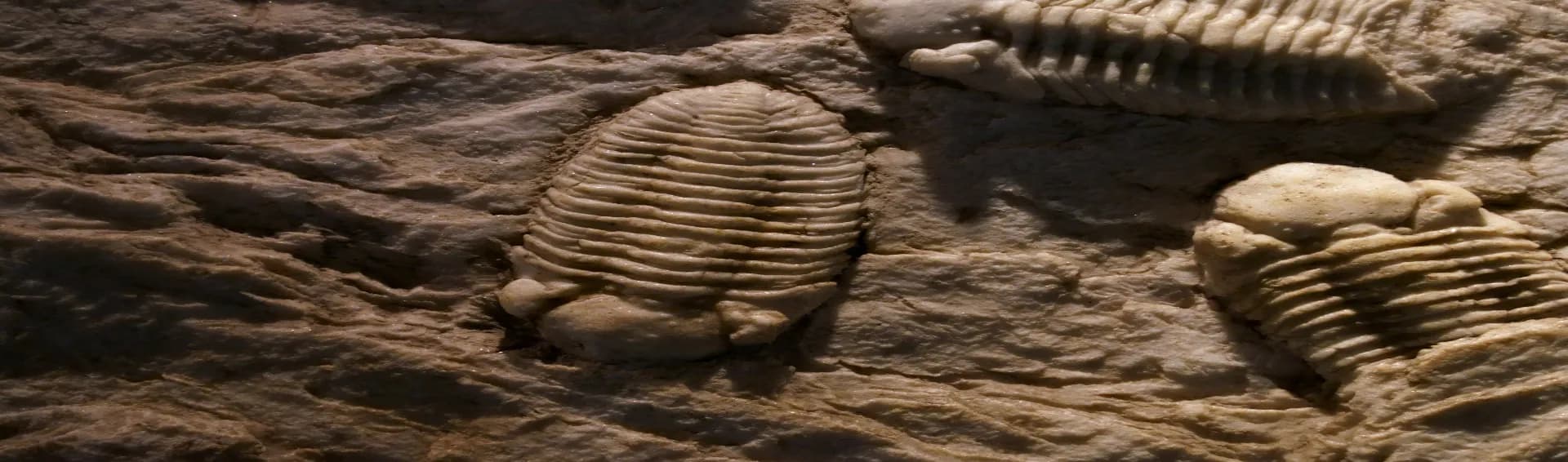 Spiti Valley’s 500 Million Year Secret - Spiti Valley History