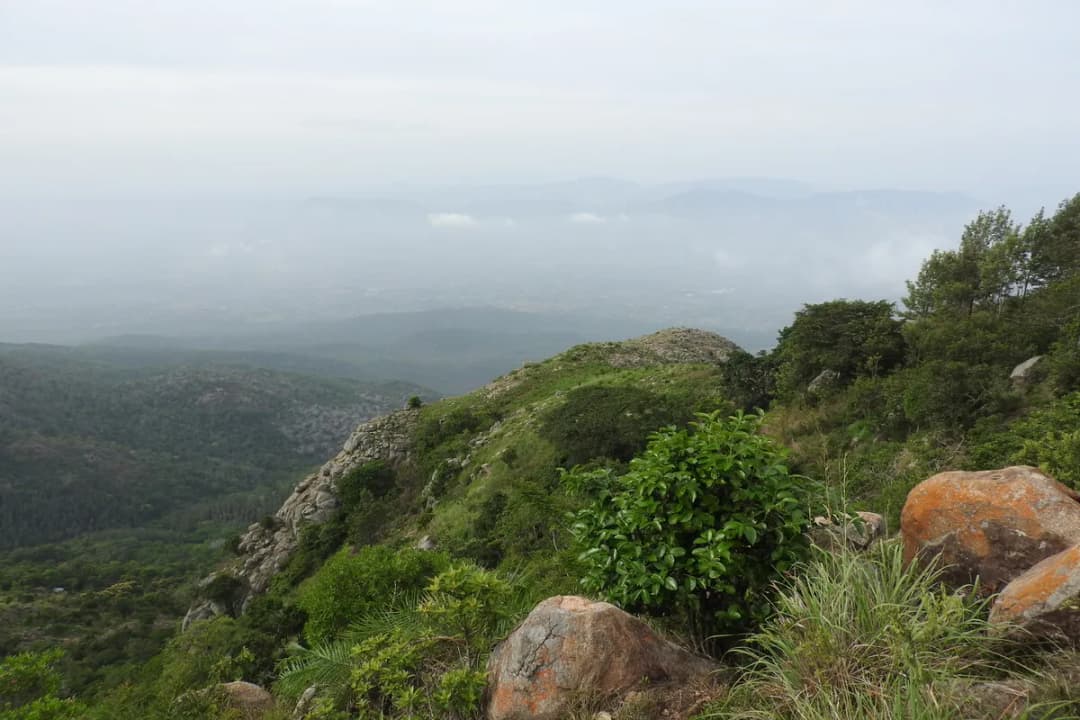 Lympum View Point