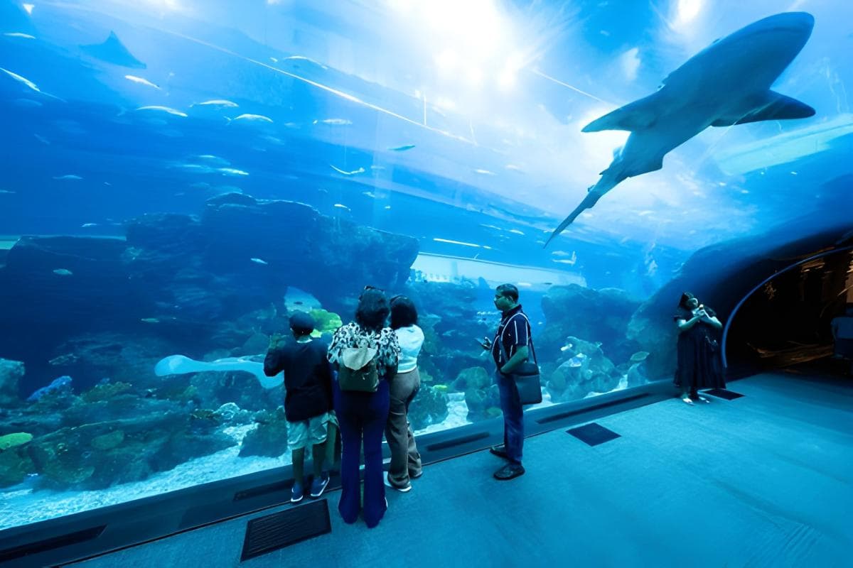 Dubai Aquarium & Underwater Zoo