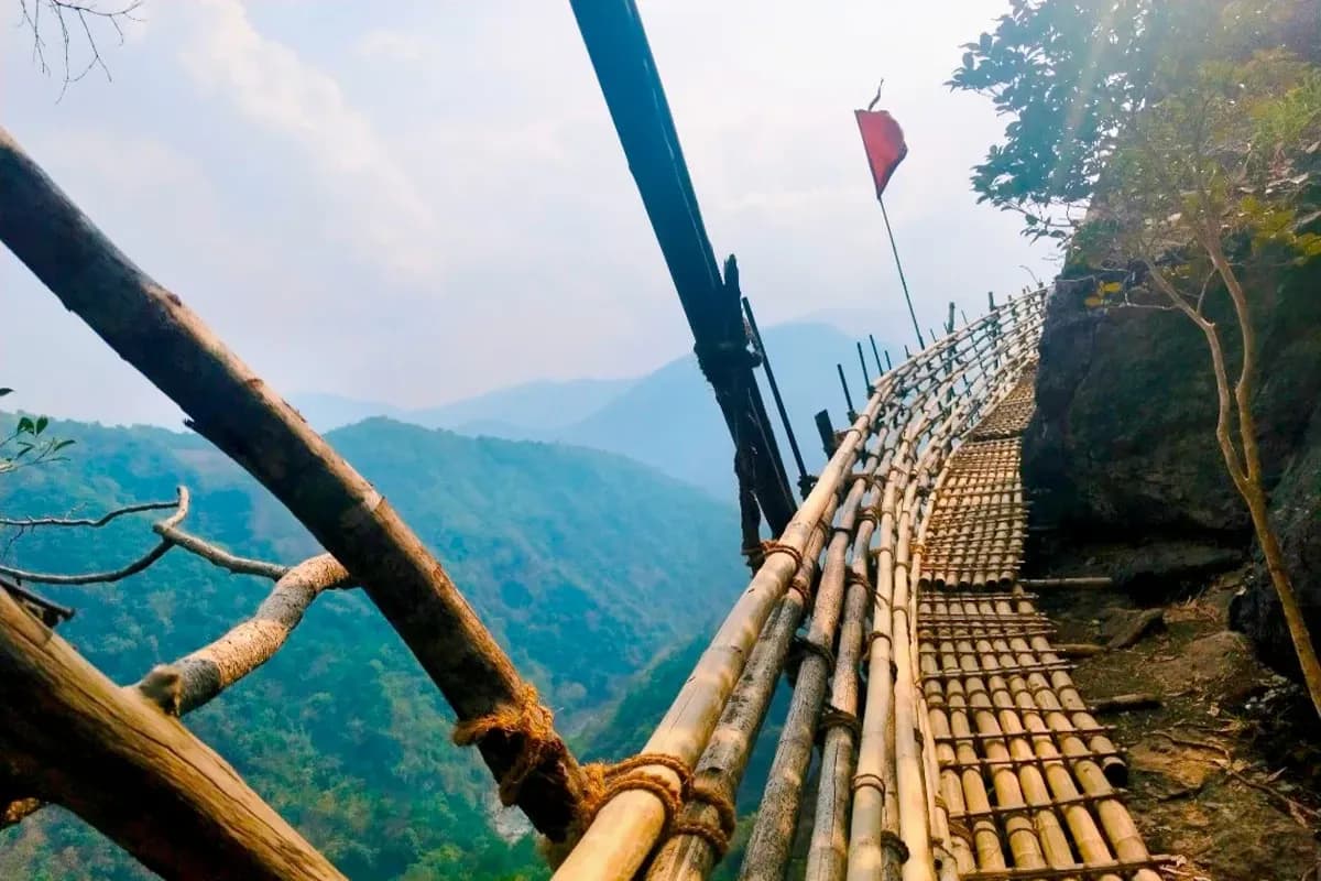 Bamboo trek