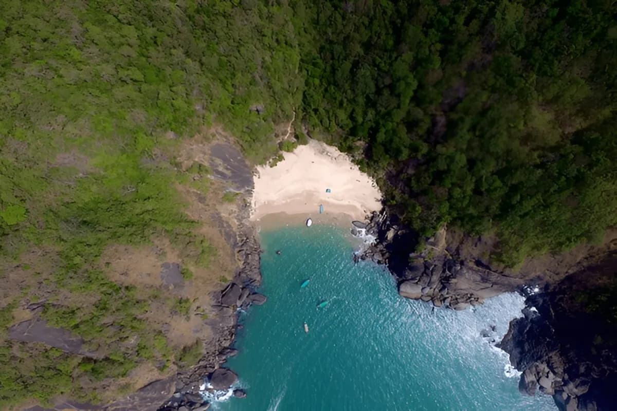 Butterfly Island