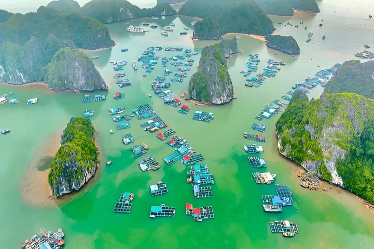 Cat Ba Island
