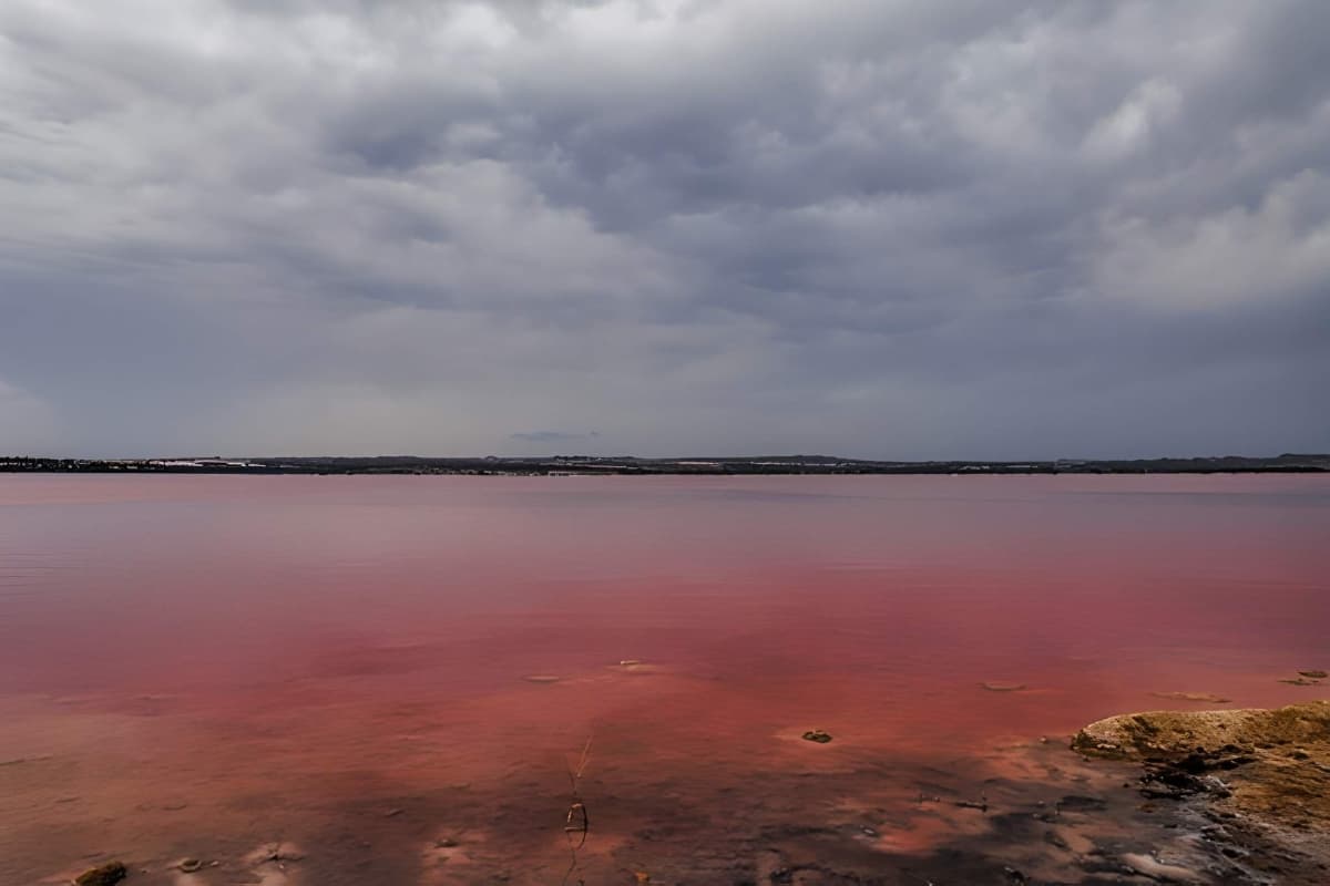 Pink Lake, Australia