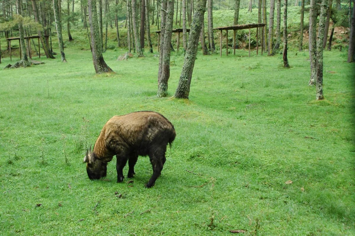 Mouling National Park