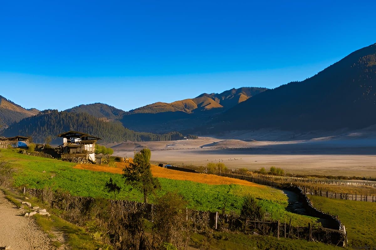 Phobjikha Valley