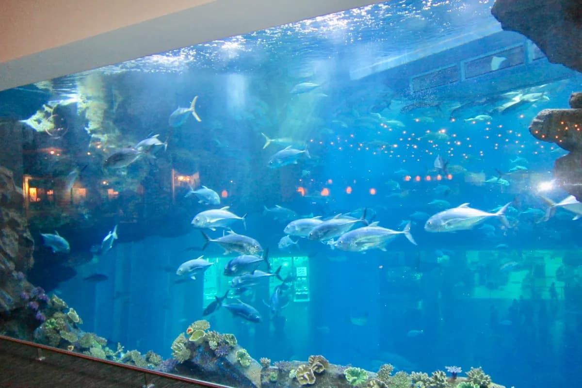Dubai Aquarium & Underwater Zoo