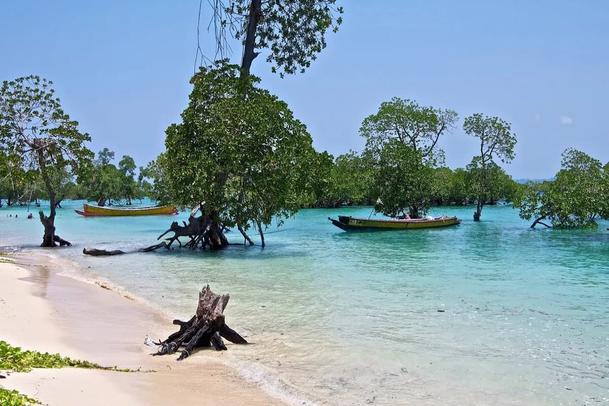 Baratang Island