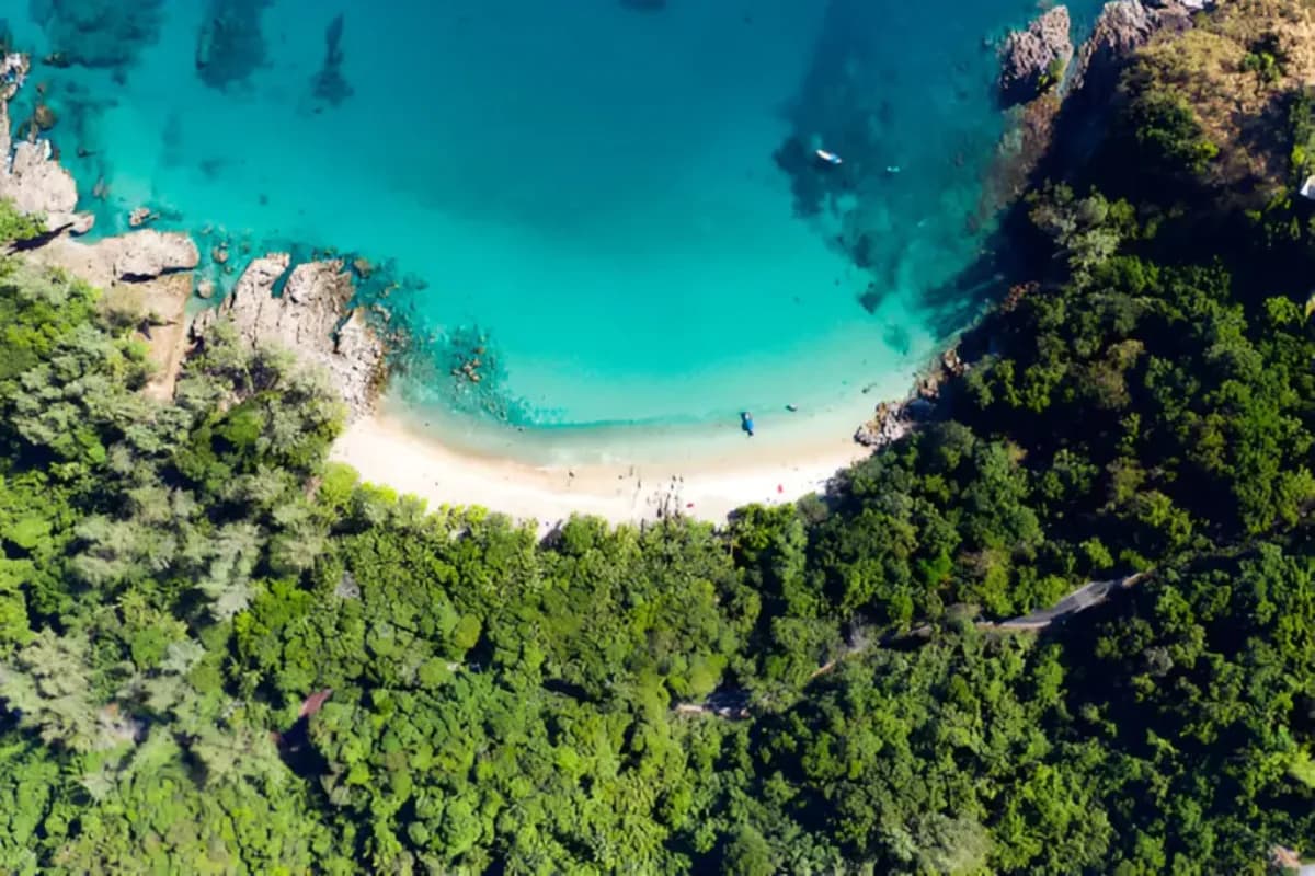 Banana Reef