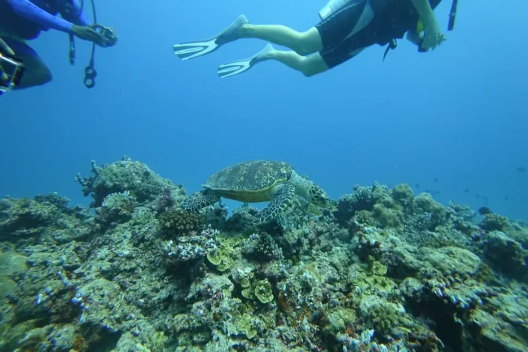 Madivaru Finolhu Reef