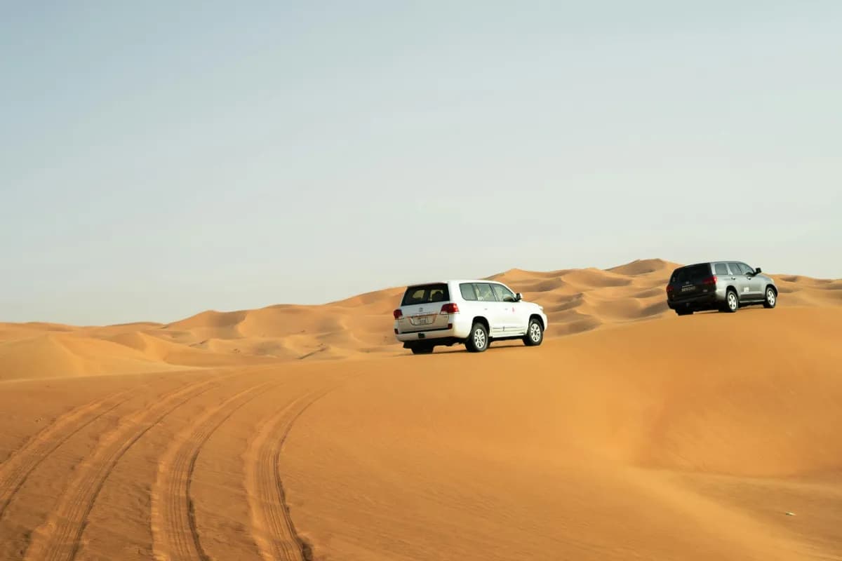 Desert Safari Fun
