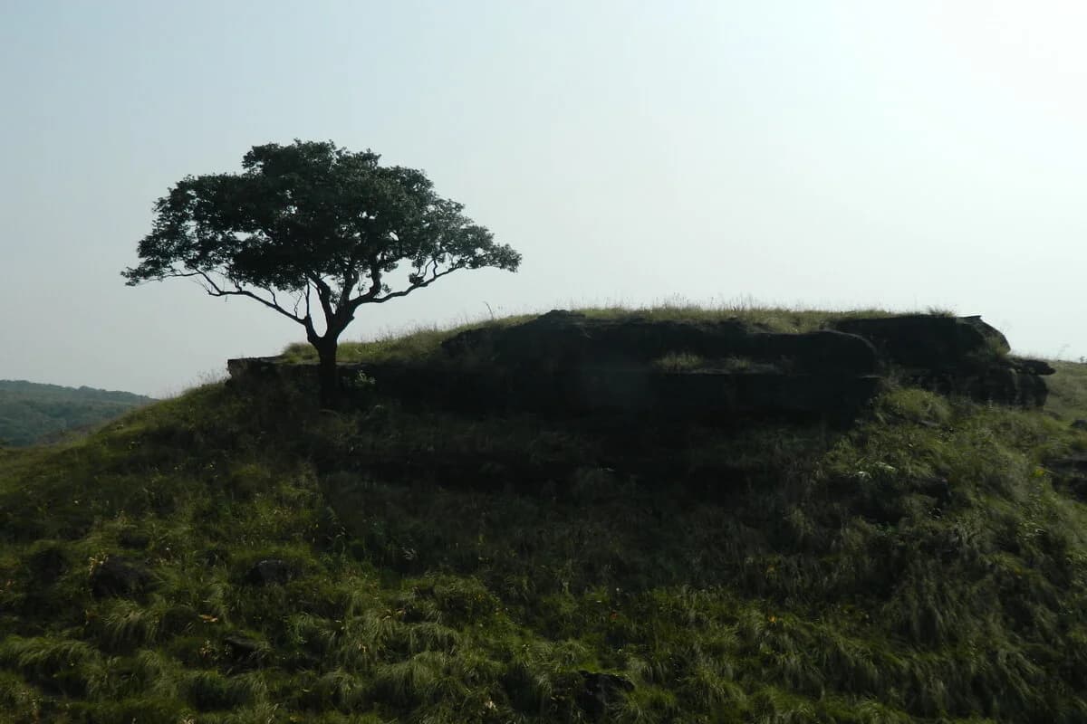 Balpakram National Park in Meghalaya
