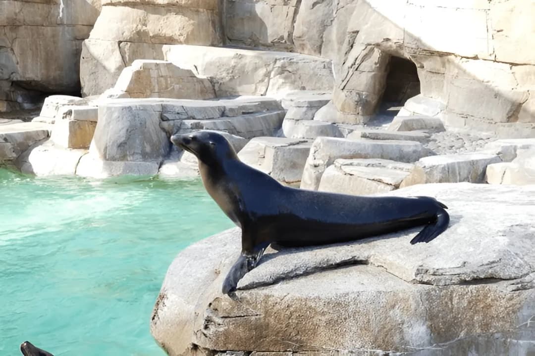 Behind-the-Scenes Tours