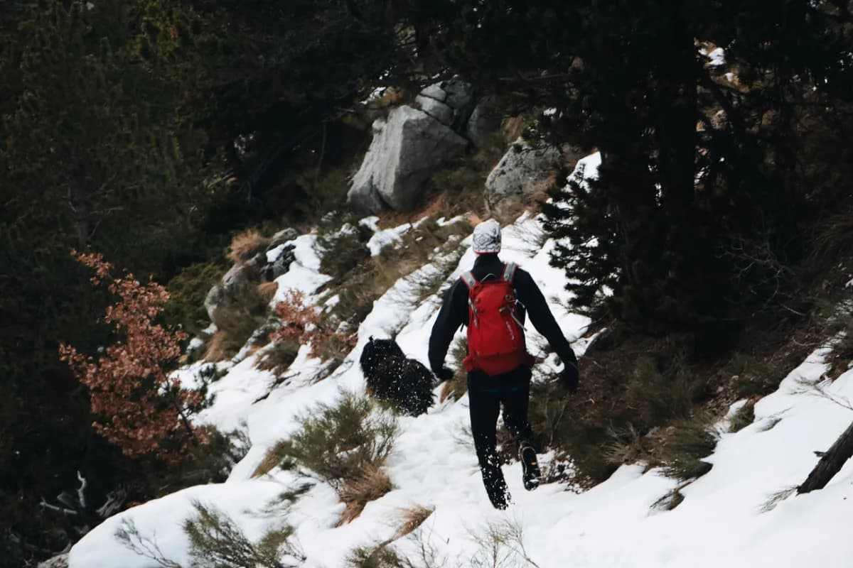 Snow Trekking at Chopta