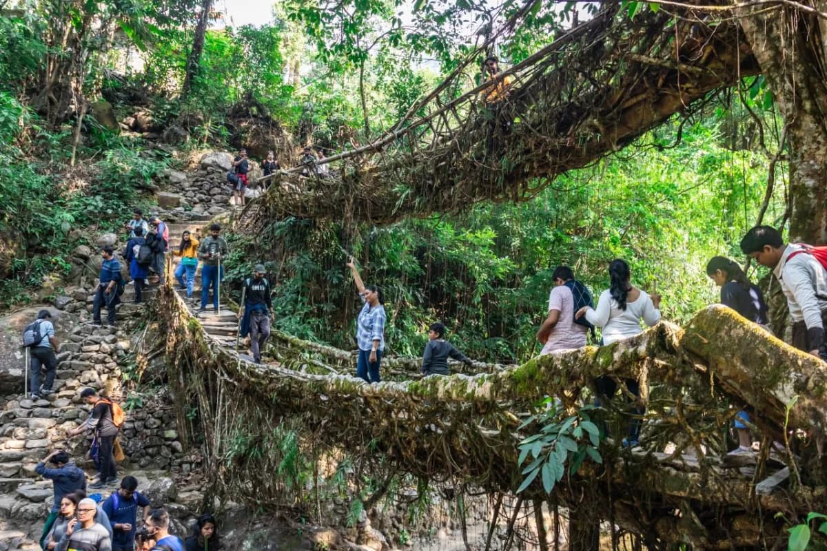 People Treking to the Double Decker Living Root Bridge
