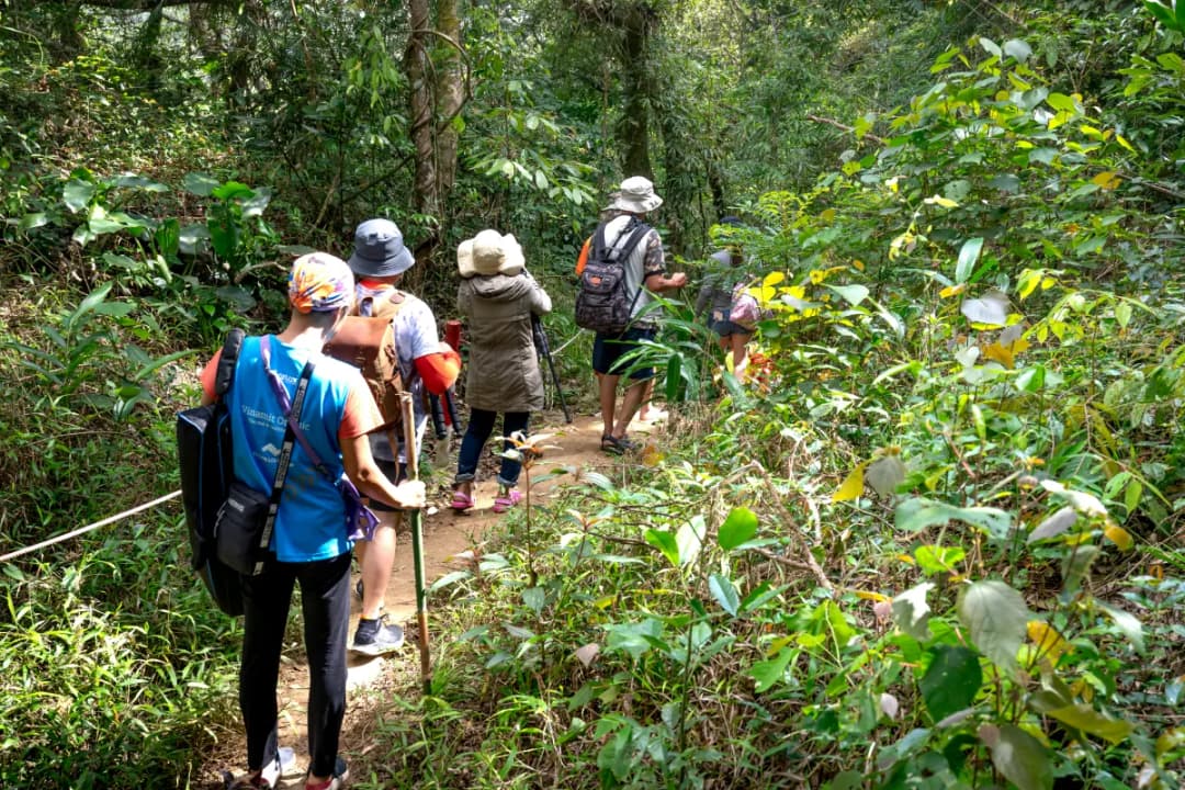 Rainforest Trekking Trails