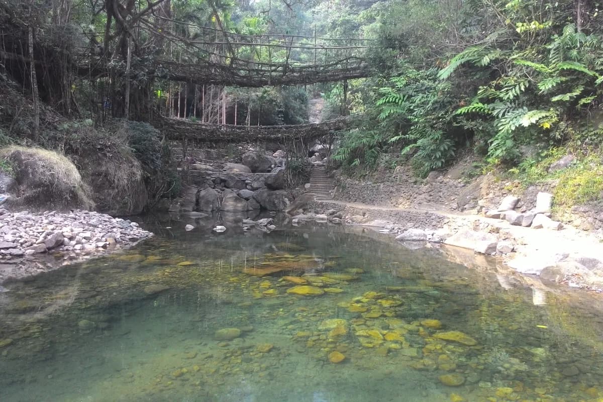 Scenic view of Nongriat Village with living root bridges in Meghalaya