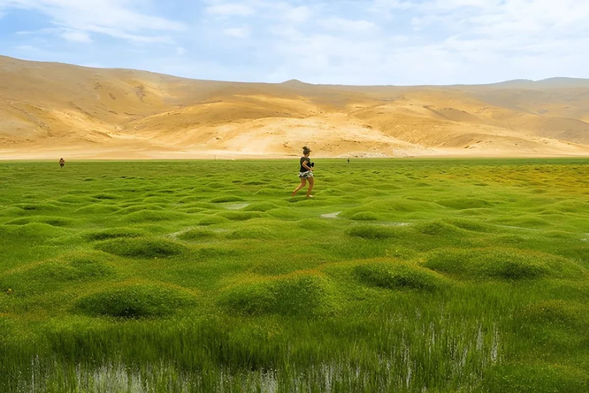 Puga Valley