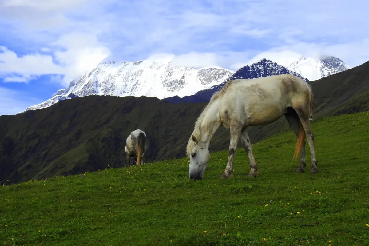 Trishul Peak
